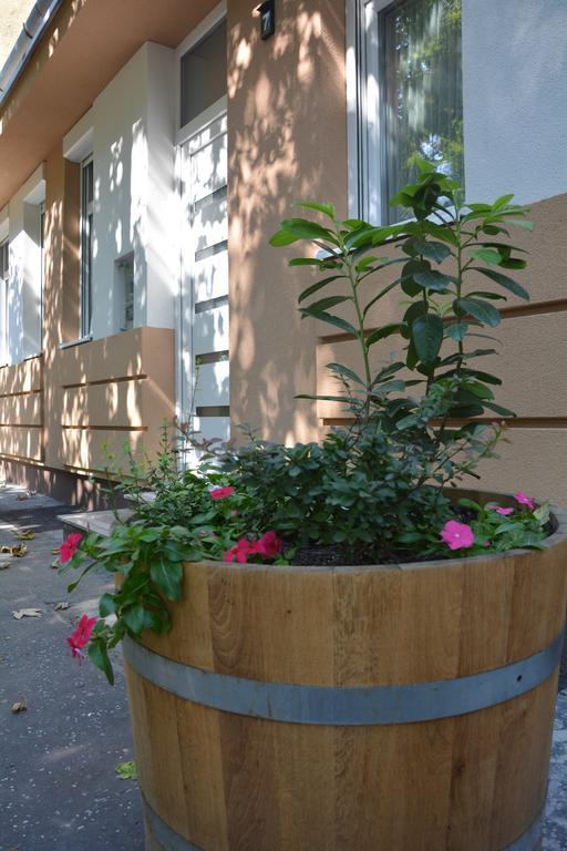 Bodza Apartmanok Eger Extérieur photo